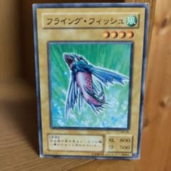 フライング・フィッシュ (SM-06)のサムネイル