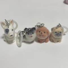 もこぷわ フロッキー 犬 めじるしチャーム めじるしアクセサリーのサムネイル