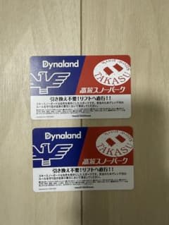 高鷲スノーパーク&ダイナランド　リフト1日券2枚(共通割引券付き)バラ売可のサムネイル