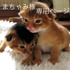 まちゃみ様 専用のサムネイル