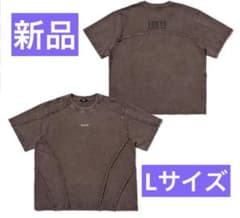 BTS アリラン ツアーグッズ TOKYO Tシャツ ブラウン Lサイズ - メルカリ