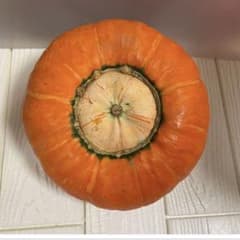 ♦️金山かぼちゃ種　鮮やかな 　オレンジ色のかぼちゃ♦️のサムネイル