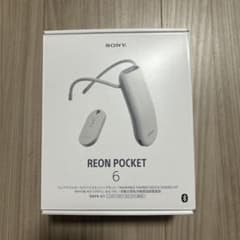 SONY REON POCKET 6 RNPK-6T 本体 - メルカリ