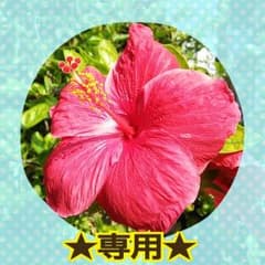 まぁみさん☆専用☆のサムネイル