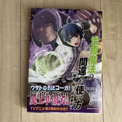 治癒魔法の間違った使い方 18巻 九我山レキのサムネイル