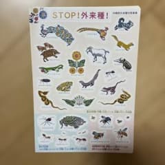 外来種シール５枚セットのサムネイル