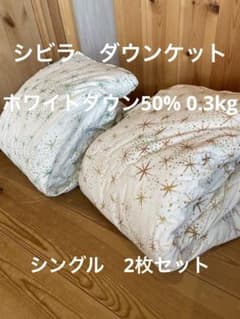 新品　丸洗可【シビラ】羽毛肌掛布団 ダウンケット（シングル）アマポラス2色各1枚 新品 丸洗可【シビラ】羽毛肌掛布団 ダウンケット（シングル）ルス 2色
