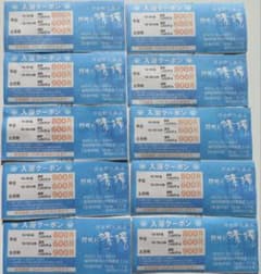 源泉野天風呂 那珂川 清滝　入浴クーポン券　１０枚　割引券　匿名発送のサムネイル