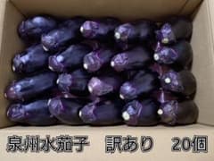 □泉州特産水なす□訳あり品20個□ - メルカリ
