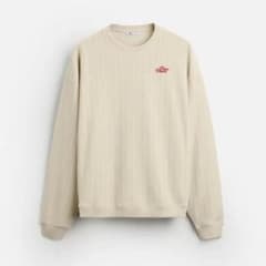 ZARA ストライプ スウェット ロングTシャツ　ワンポイント　トレーナーのサムネイル