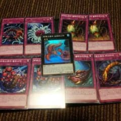 バゼストマセットのサムネイル