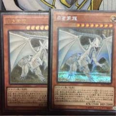 白き霊龍 2枚セットのサムネイル