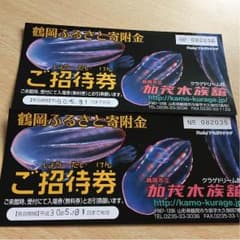 加茂水族館 クラゲドリーム館 2枚セットのサムネイル