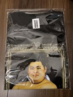 限定】L 大の里横綱☆優勝三勝記念Tシャツ大相撲豊昇龍宇良若隆景