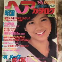 明星ヘアカタログ'84 秋の号のサムネイル