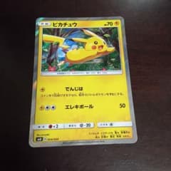 ポケモンカード ピカチュウ ピカチュウと新しい仲間たち 004/004