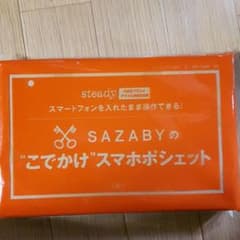 steady7月号付録 スマホポシェットのサムネイル