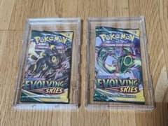 ポケモンカード Evolving Skies 未開封パック 2個セット - メルカリ