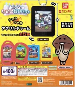みんなのなめこ栽培キット シャカシャカアクリルチャームのサムネイル
