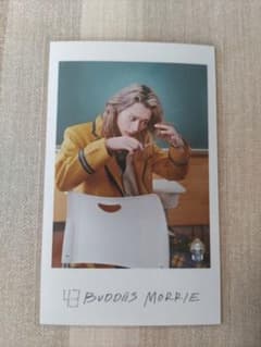 BUDDiiS MORRIE ミニフォトのサムネイル