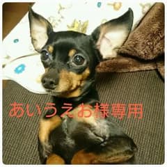 あいうえお様専用 FIFA 15のサムネイル