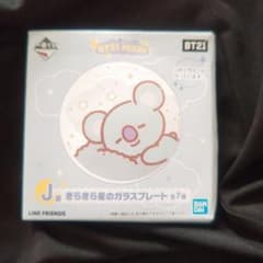 BT21 KOYA 유리 플레이트
