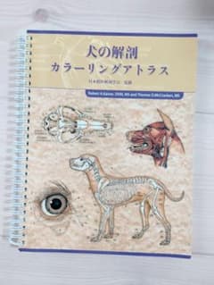 犬の外科解剖 カラーアトラス 犬の解剖カラーリングアトラス |本 | 通販 | Amazon