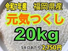 令和7年産 福岡県産米 元気つくし20kg 白米 光選別済み - メルカリ