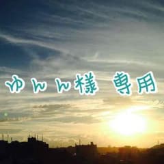 ▼ ゆんん様 専用のサムネイル