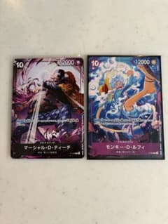 ルフィ、ティーチプロモ - メルカリ