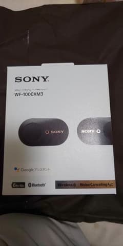 SONY ワイヤレスイヤホン WF-1000XM3のサムネイル