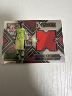 ペトル・チェフ ジャージカード Panini Select X-Factorのサムネイル