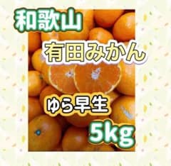 和歌山 有田みかん ゆら早生 5kg【箱込】のサムネイル