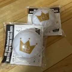 HY 25th Anniversary ペンライト 2個セットのサムネイル