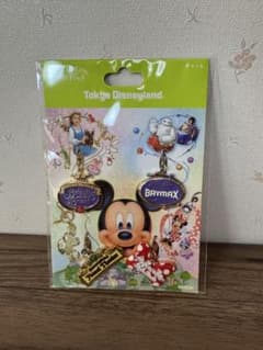 東京ディズニーランド チャーム 4個セットのサムネイル