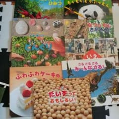 購入専門様専用　サンチャイルド　ビッグサイエンスのサムネイル