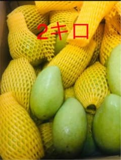 ベトナム産のグリーンマンゴー　2キロのサムネイル