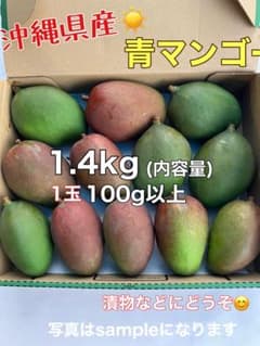 マンゴー(摘果マンゴー)青マンゴー グリーンマンゴー 1.4kg - メルカリ