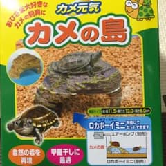 GEX カメ元気 カメの島のサムネイル