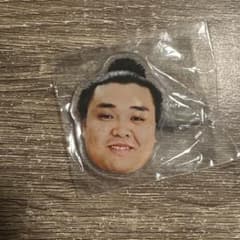 大相撲ガチャ ヘアピン 霧島のサムネイル