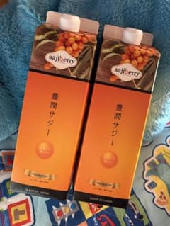 豊潤サジー 2本セット ※2026 4/6 説明欄必須のサムネイル