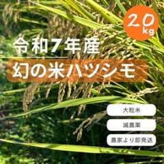 農家直送】岐阜県産 ハツシモ 20kg 大粒米 精米したて - メルカリ