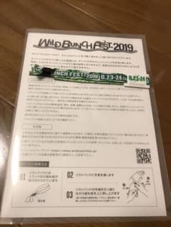 WILD BUNCH FEST 2019 前2日券のサムネイル