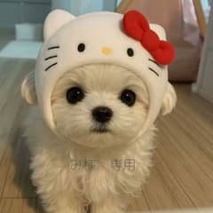 み様専用ページのサムネイル