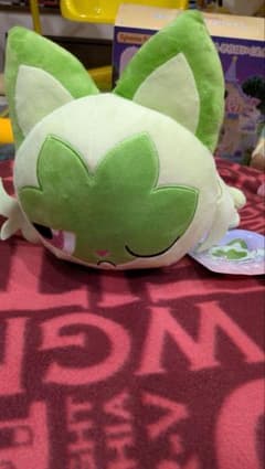 初夢　ニャオハ　ぬいぐるみ　ピカピカボックス2023