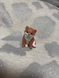 おすわり〜ぬ しば〜ぬのサムネイル