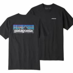 パタゴニア Tシャツのサムネイル