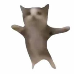 アリさん専用のサムネイル
