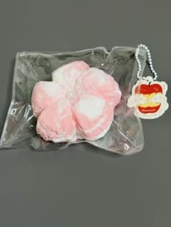 BloomingJapan(小恩)スクイーズ グラデーション桜　水感のサムネイル