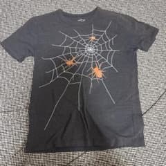 crewcuts クルーカッツ クモの巣柄 Tシャツ 10のサムネイル